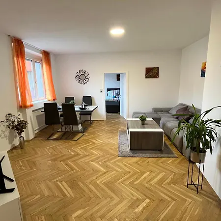Daire Family Apartment With Parking Graz